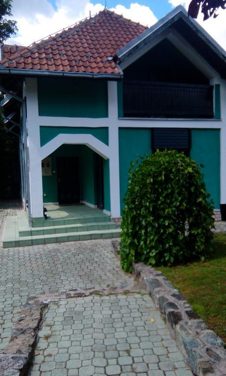 Villa Planinska Kuca Mokra Gora Esterno foto